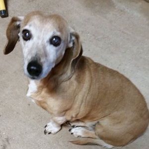 Meet your Posher, Jackie